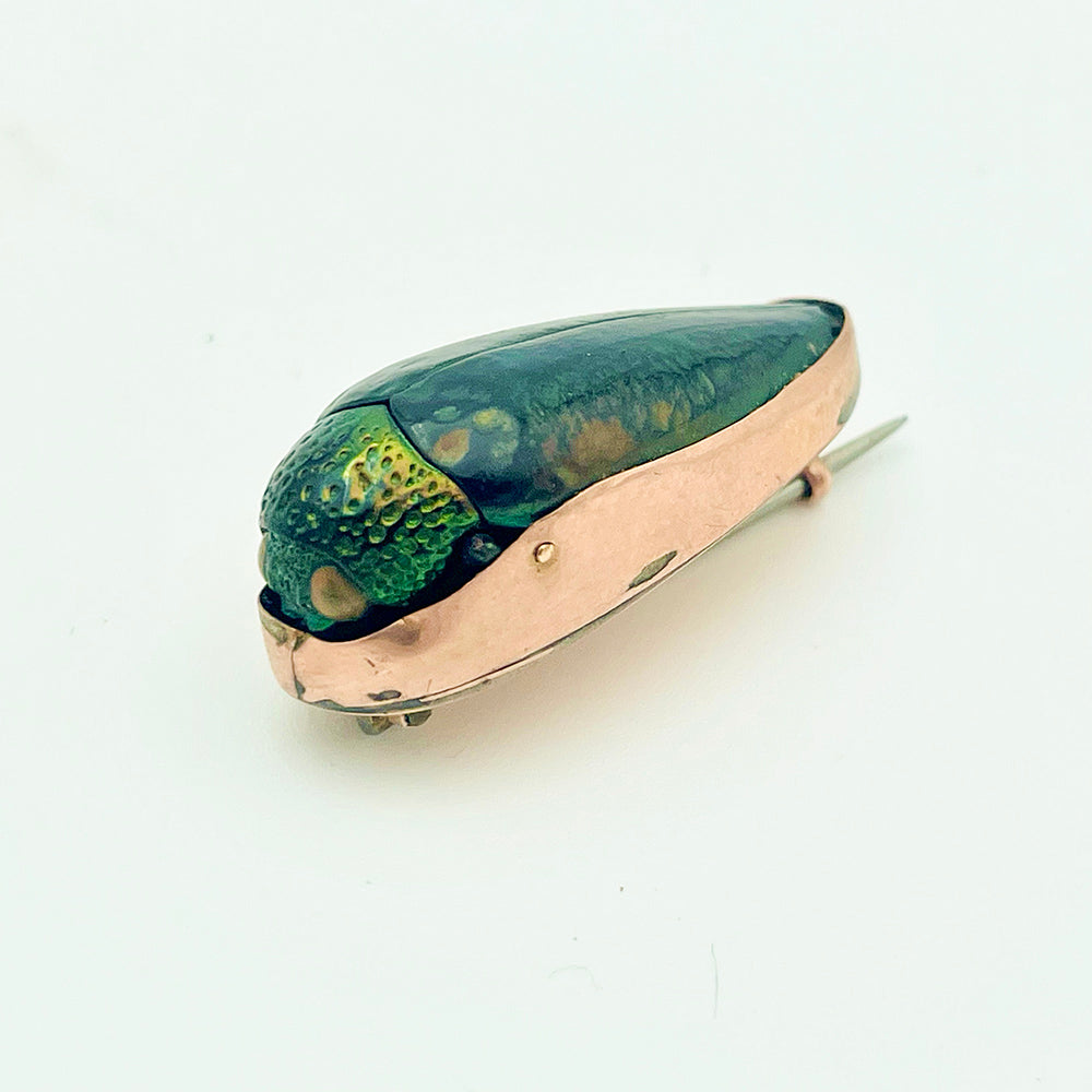 antique 9ct bug brooch